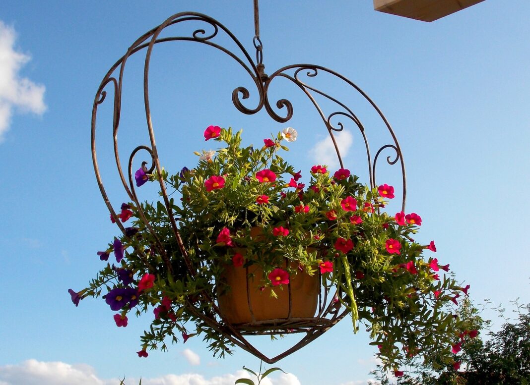 image of hanging flower baskets