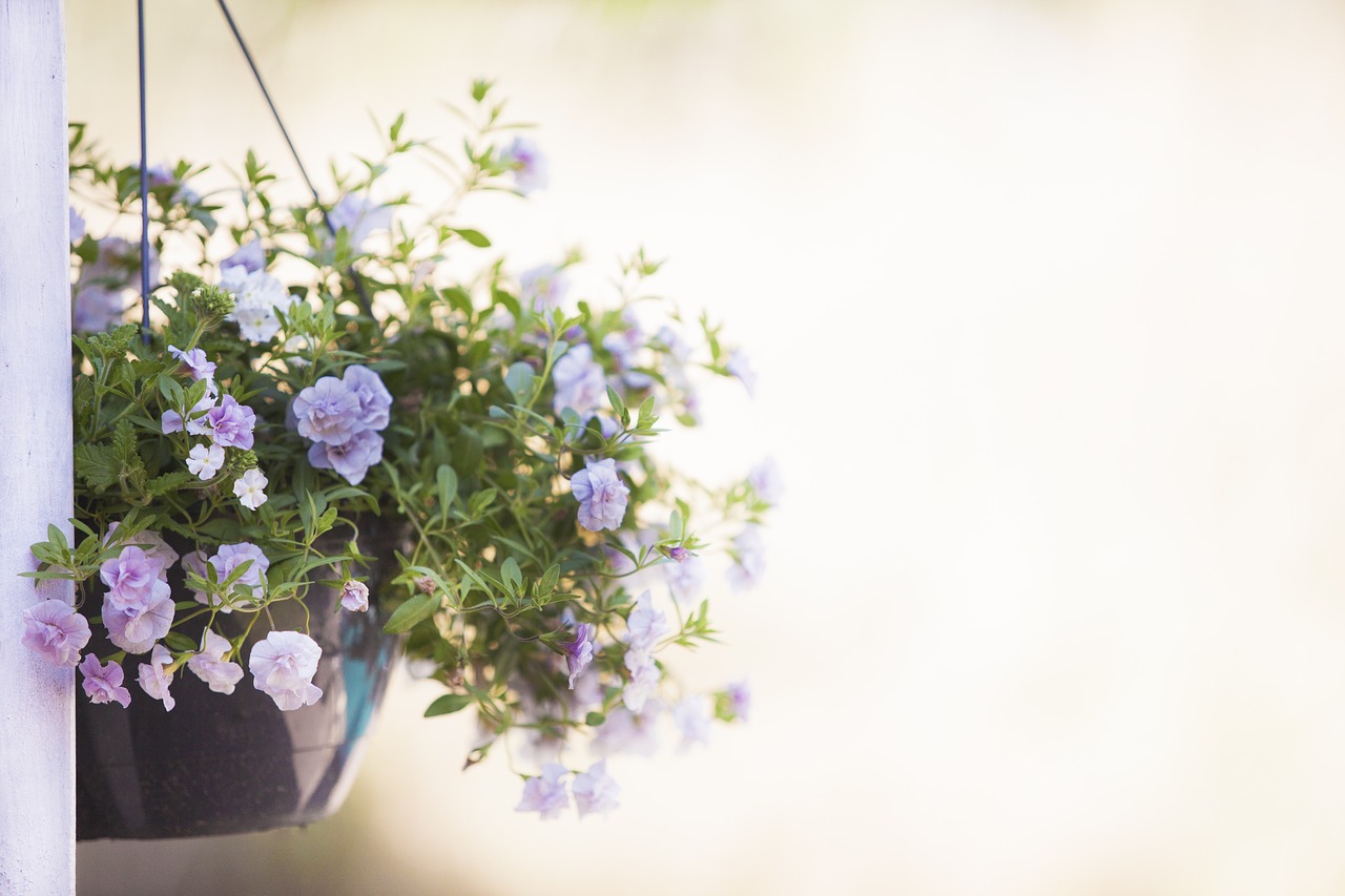 image of flower basket